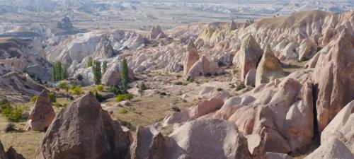 Retournons voir si la Rose...