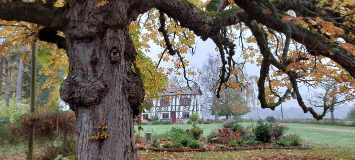 La randonnée du 17 novembre à Hermival-les-Vaux