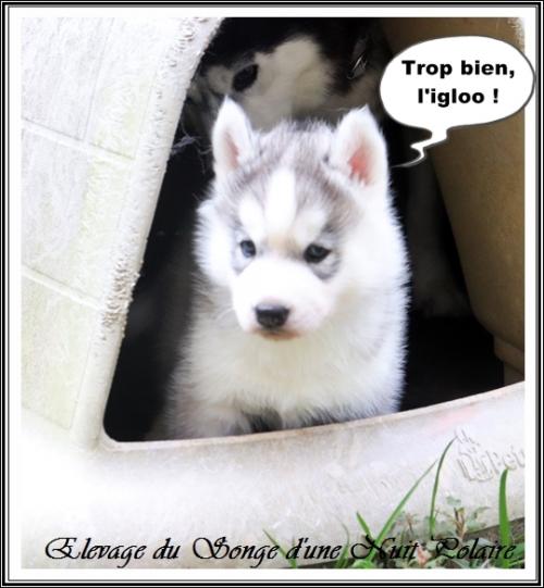 Portée d'Ourika (12 novembre 2023)