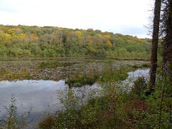 Les étangs des Marots en automne
