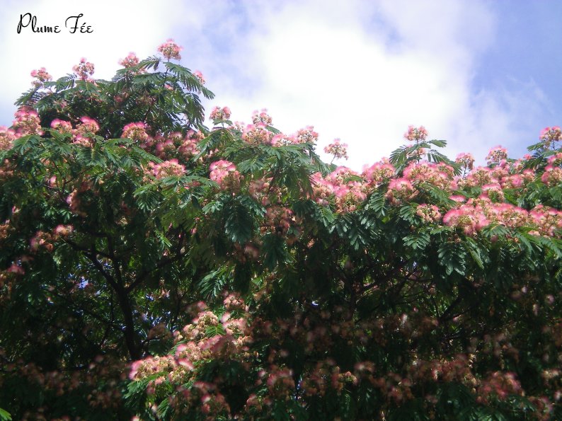 Image003.jpg