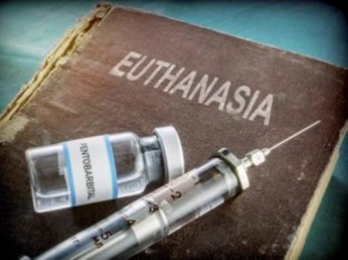 L'EUTHANASIE - Un outil démographique de choix ? - Introduction