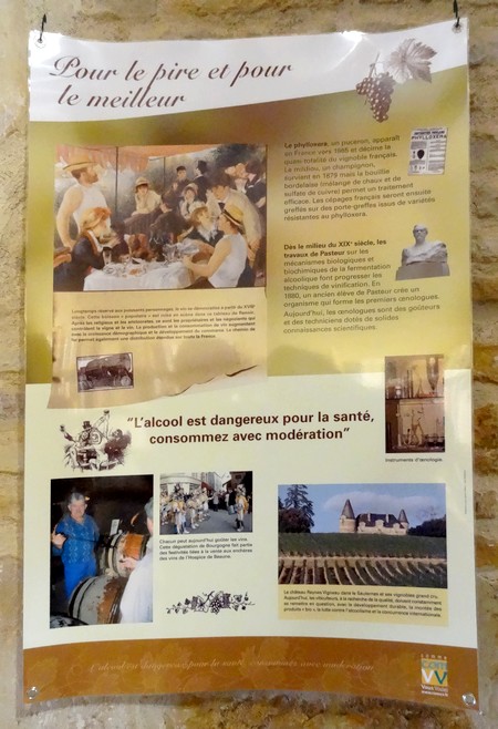 Une exposition sur la vigne à la Bibliothèque Municipale de Châtillon sur Seine