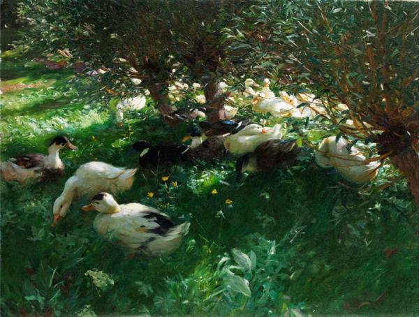 Mercredi - Alexander Koester, le peintre des canards