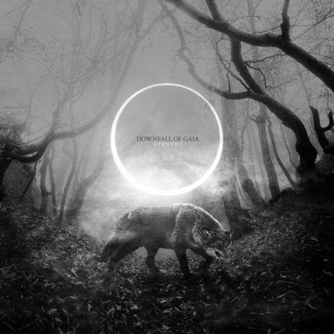 DOWNFALL OF GAIA - Détails nouvel album & titre en écoute