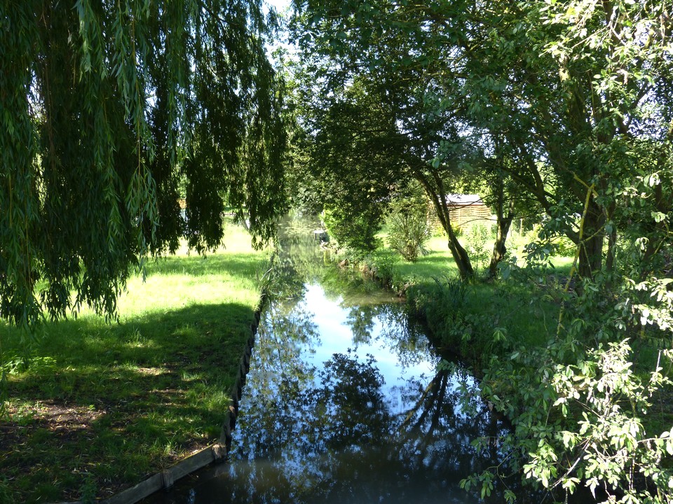 Plongée en verdure profonde