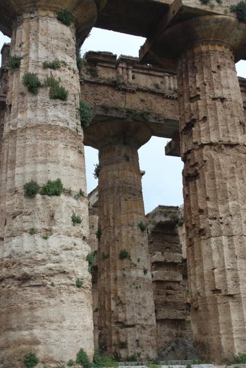 Patrimoine mondial de l'Unseco : Cilento et le Vallo Diano, avec les sites archéologiques de Paestum et Velia - Italie
