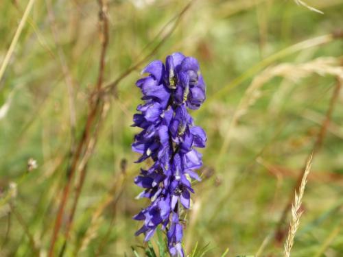 Le Sentier du Karst (Vercors Dromois)