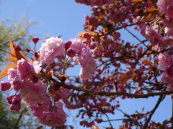 Une petite balade qui fait du bien 3 