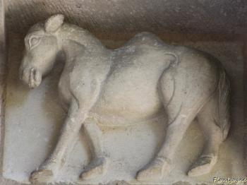 Dromadaire à Surgères