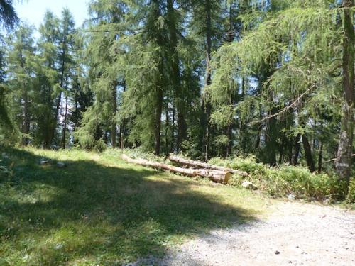 Pic de Bernardez (Seyne les Alpes)