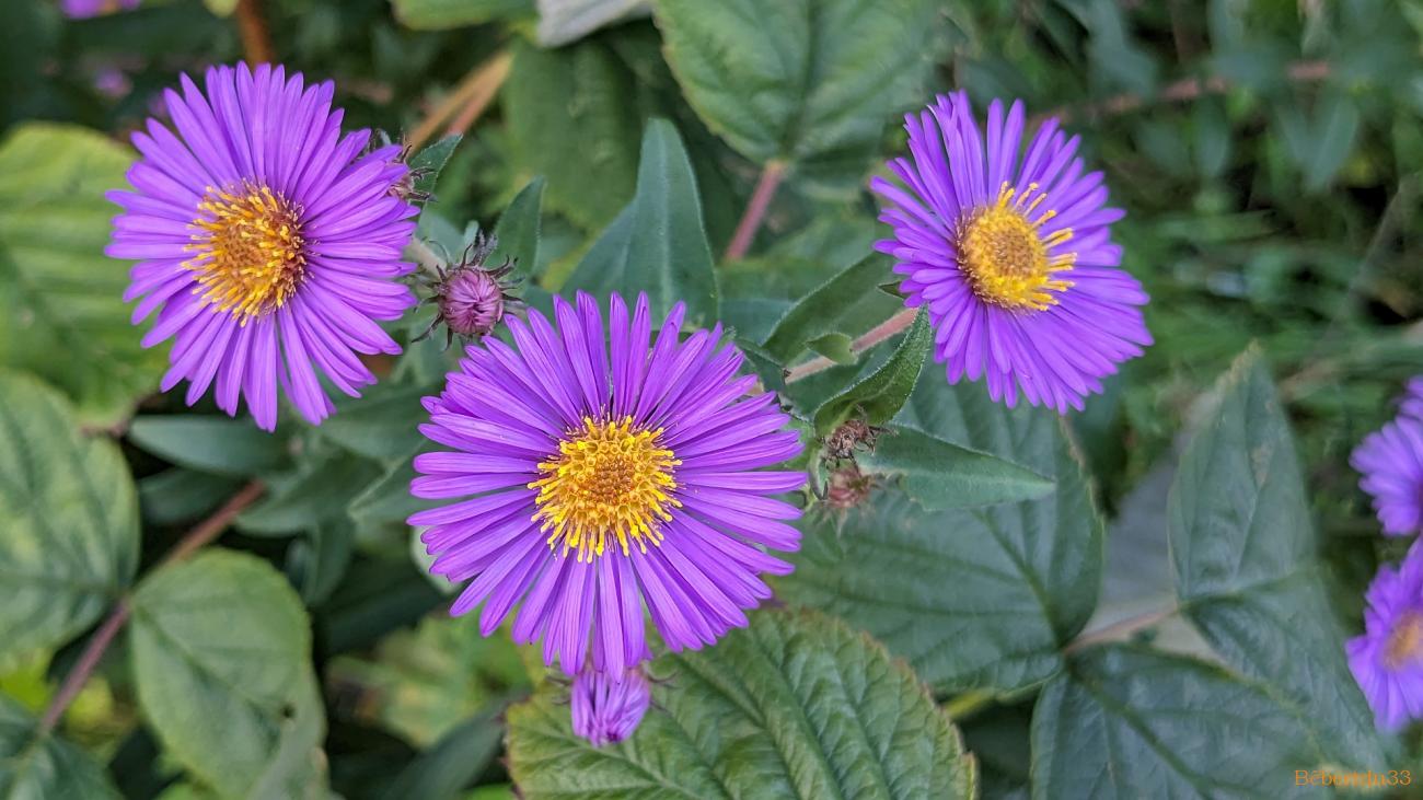 photos plaisir en Septembre