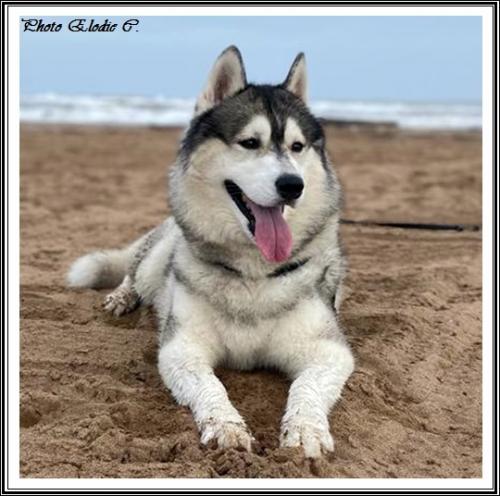 Eden (9 ans)