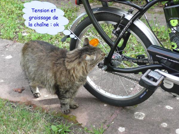 Le vélo
