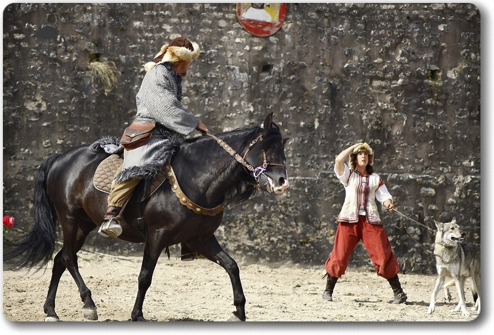 Des chevaux, des loups et des hommes...