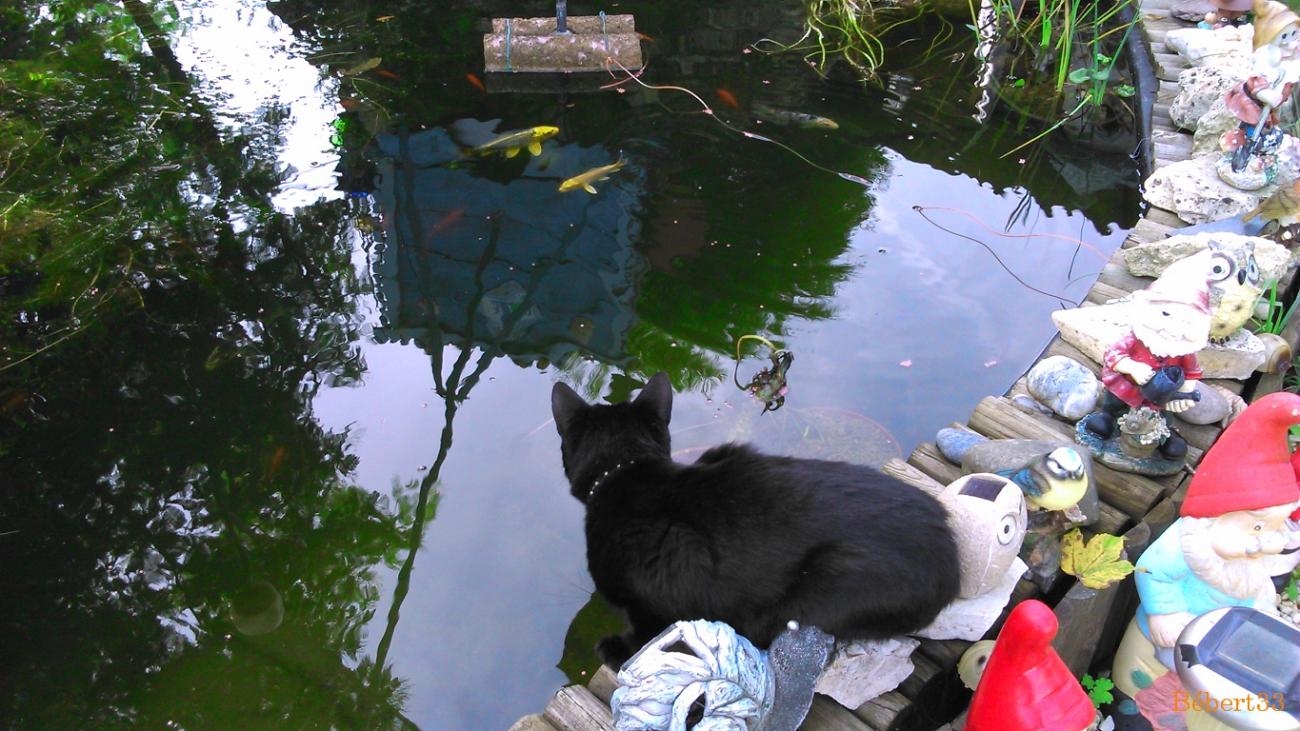 défi reflets d'Annie N°12
