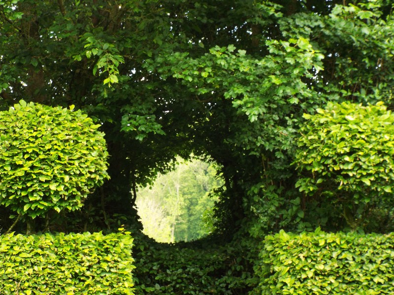 Jardin en Flandres ...