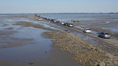 Ile de Noirmoutier  ( Vendée )