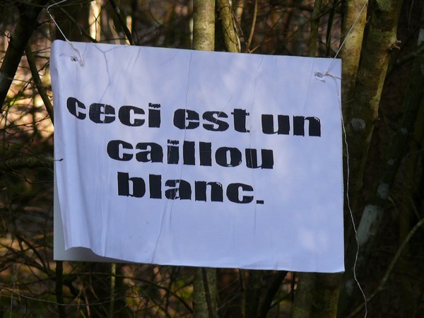 Une "chasse au Trésor enchantée" organisée par le GIP du futur Parc entre Champagne et Bourgogne a eu lieu en forêt châtillonnaise...
