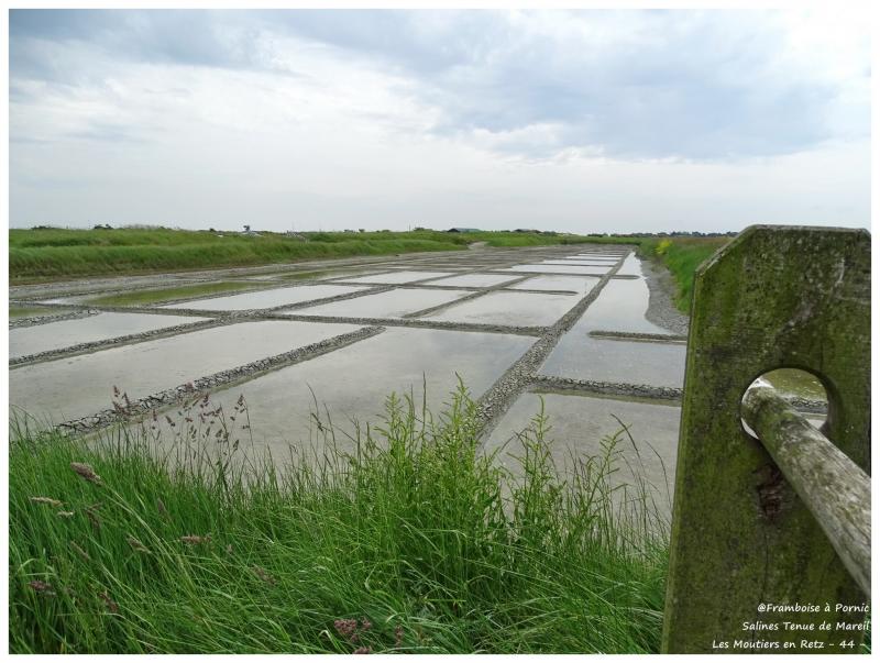 Saline Tenue de Mareil aux Moutiers en Retz 