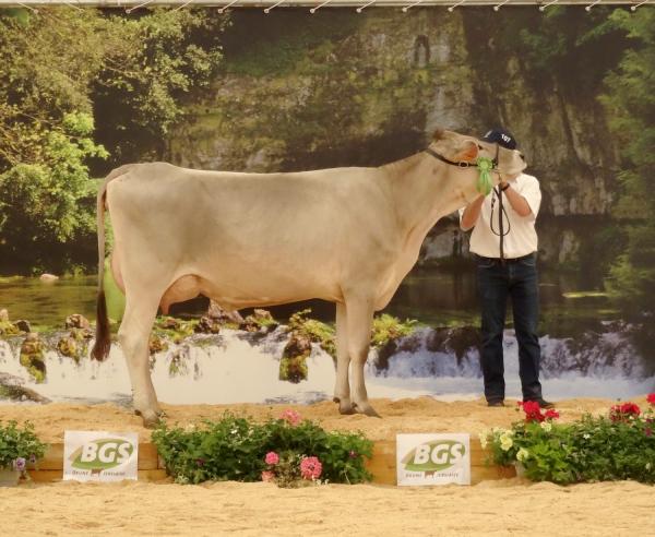 Les Journées Châtillonnaises 2015