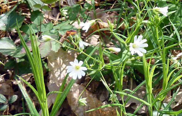 Symphonie en bleu et jaune avec Générations 13