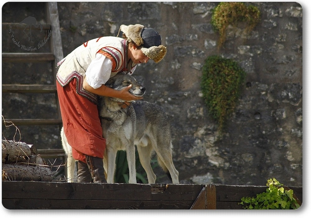 Des chevaux, des loups et des hommes...