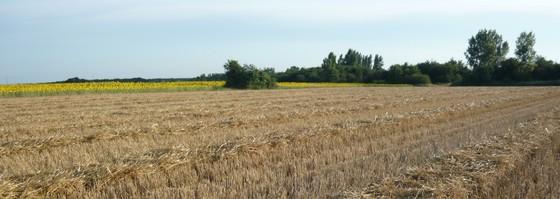 Département duTarn et Garonne