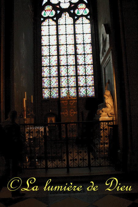 La cathédrale Notre-Dame de Paris