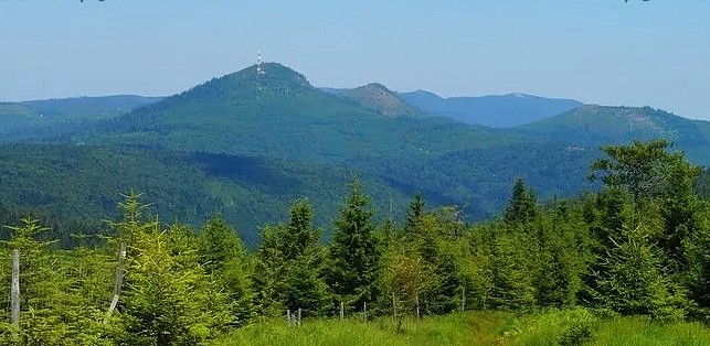 Département des Vosges