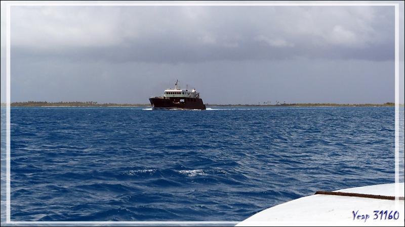 Rencontre avec le Cobia 3, le cargo d'approvisionnement des certaines îles polynésiennes dont l'atoll Fakarava - Polynésie française