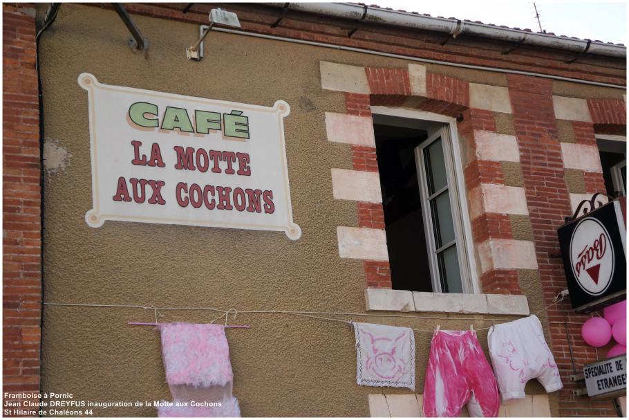 La MOTTE aux COCHONS St Hilaire de Chaléons