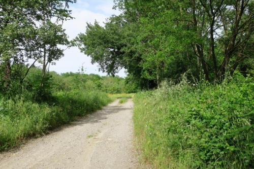 Randonnée "Au fil de l'eau" à Ners