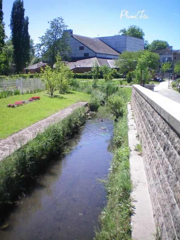 Image009.jpg