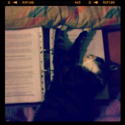 Instagram n°7