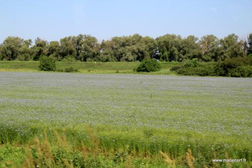 Lundi 10 au jeudi 13.06 + Bonus