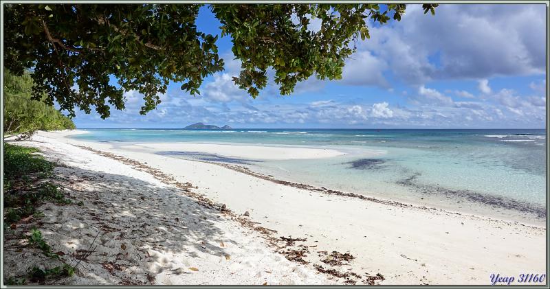 14/12/2021(suite) : seconde journée à Silhouette Island passée entre promenade dans le village et les jardins du grand complexe hôtelier voisin et baignades - Seychelles