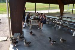 La balade du 20 juin au Locheur