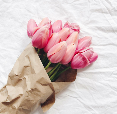 Tulipes