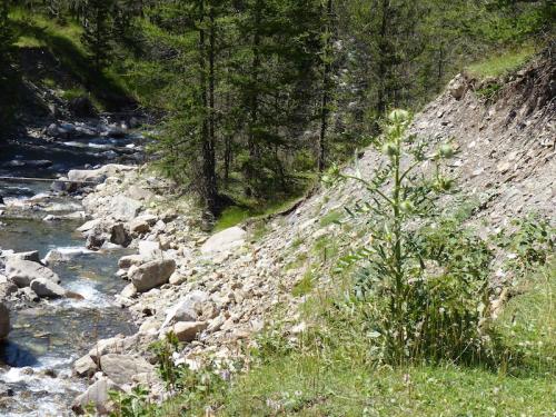 Vallon du Laverq