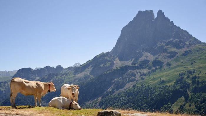 Département des Pyrénées Atlantiques