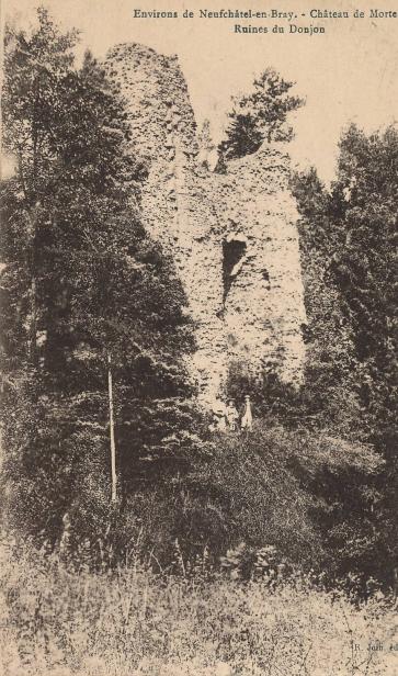 LES REMPARTS DE MORTEMER (Seine-Maritime)