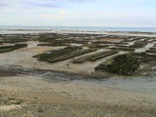 Cancale, son histoire, ses curiosités … !!! (6ème partie)