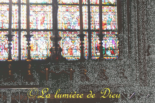 La cathédrale Notre-Dame de Paris
