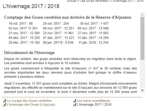 Grues cendrées