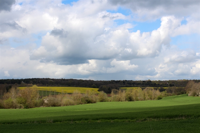 Département de la Côte d'Or