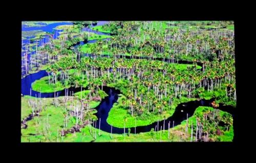 "Nature du monde vue du ciel" et "Châtillonnais vu du ciel" , deux très beaux audiovisuels, projetés au Select de Châtillon sur Seine, par Jean Ponsignon