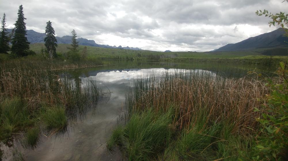 2019 summer vacation: Day twelve - From Edmonton to Jasper