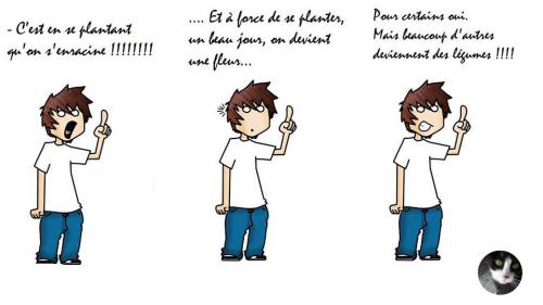 C'est en se plantant qu'on s'enracine