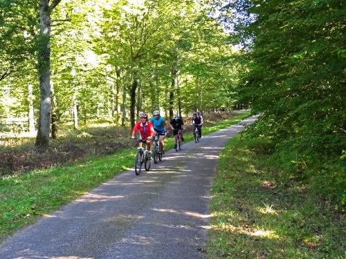 Une jolie rencontre en forêt !